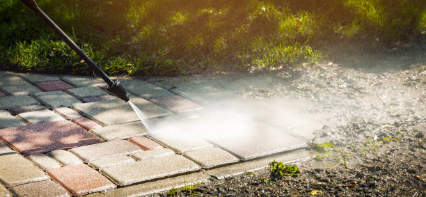 Best Animal Enclosure Cleaning  in Union City, NJ